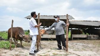 "Kami Dijamin Pak Gubernur"