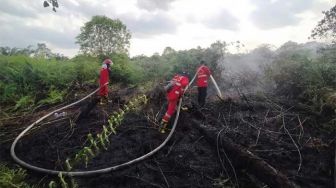 Kebakaran Lahan Gambut Terjadi Lagi di Siak, Manggala Agni Diterjunkan