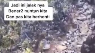 Tersesat di Gunung Lawu, Rombongan Pendaki Ini Dituntun Burung Jalak