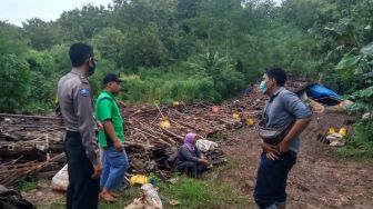 Kandang Berkapasitas 3.500 Ayam Roboh, Pemilik Rugi Ratusan Juta