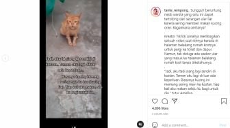 Sering Diberi Makan, Kucing Ini Selamatkan Seorang Gadis dari Serangan Ular