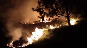 Hutan Gambut di Lereng Bukit Pusuk Buhit Danau Toba Terbakar