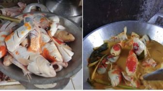 Viral Ikan Koi Dimasak Gulai, Publik: Makannya Sambil Meneteskan Air Mata