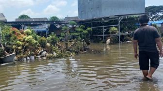 Terdampak Banjir, Pedagang Tanaman Hias di Tangerang Rugi Puluhan Juta