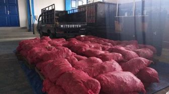 Bea Cukai Langsa Ungkap Penyelundupan Ratusan Karung Bawang Merah