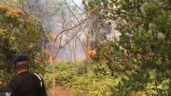 Pembakar Hutan di Bandara Hang Nadim Batam Ditangkap dari Petunjuk Motor