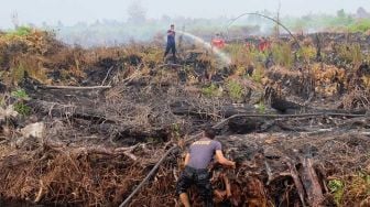 Bikin 5 Hektare Lahan Gambut Pulau Rupat Terbakar, Dua Orang Ditangkap