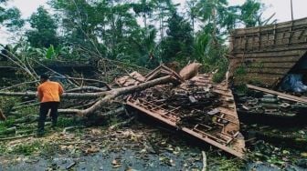 Gianyar Dikepung Bencana, Hujan Lebat, Pohon Tumbang Sampai Longsor