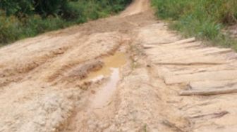 Jalan Semabi ke Seberang Kapuas Rusak Parah, Warga Tempuh Jarak Lebih Jauh