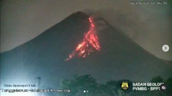 Aktivitas Gunung Merapi, Hari Ini Luncurkan 12 Kali Guguran Lava Pijar