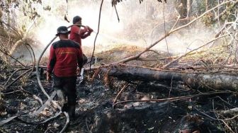 Kemarau Panjang, Masyarakat Riau Diminta Waspada Karhutla Hindari Kabut Asap