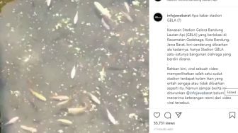 Viral Kolam Ikan di Stadion GBLA, Warganet: Gelora Bandung Laukna Ayaan