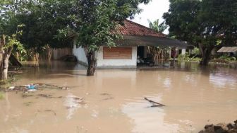 Jembrana Bali Gempa 5,1 SR Jumat Pagi Ini