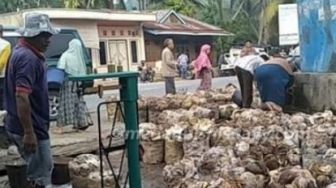 Petani Sejahtera, Harga Lelang Karet di Kuansing Tembus Rp 11.375 Per Kilo