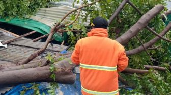 Data Bencana Bekasi: 29 Rumah Terdampak Puting Beliung, 9 Pohon Tumbang