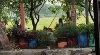 Viral Dua Ojol Kepergok Asyik Bermain di Taman, Publik Malah Terharu