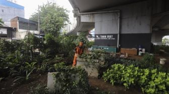 Petugas PPSU merawat tanaman di Taman Bibit Kelurahan Kebayoran Lama Utara, Jakarta, Minggu (28/2/2021). [Suara.com/Angga Budhiyanto]