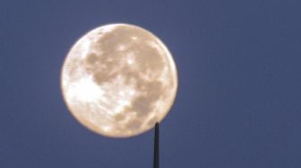 Jadwal Fenomena Bulan Purnama Mikro 19 Desember, Jangan Lewatkan