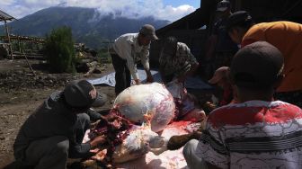 Sejumlah warga memotong daging sapi saat Tradisi Potong Sapi Rejeb di Stabelan, Tlogolelel, Boyolali, Jawa Tengah, Sabtu (27/2/2021). [ANTARA FOTO/Aloysius Jarot Nugroho]