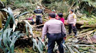 Cuaca Buruk Karangasem, Ni Ketut Serinti Tewas Tertimpa Pohon saat Angkat Jemuran