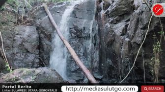 Wow! Ternyata Ada Air Terjun di Hutan Busato, Masih Natural Banget!