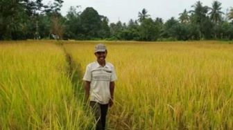 Agam Tuo, Usulan Nama untuk Pemekaran Kabupaten Agam