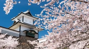 Musim Semi Tiba, Ini 5 Lokasi Terbaik di Jepang Untuk Nikmati Bunga Sakura