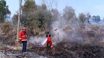 Asap Kebakaran Hutan Selimuti Pulau Karimun Besar