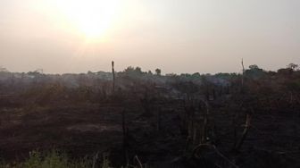 Teror Asap Kembali Hantui Provinsi Riau Akibat Kemarau yang Picu Karhutla