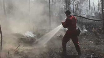Helikopter Water Boombing Rusak, Pemadaman Api di Cagar Biosfer Giam Siak Kecil Terganggu