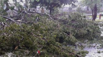 Jogja Hujan Es Disertai Angin Kencang, Pohon Tumbang dan Rumah Rusak