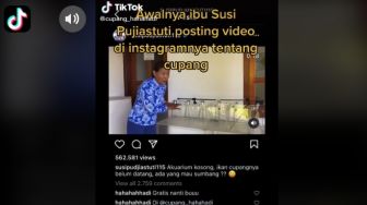 Viral Pria Ini Kirim Cupang ke Susi Pudjiastuti, Syaratnya Jangan Pakai...