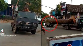 Muatan Mobil Pick Up Mencengangkan, Cara Angkut Kayu Ini Bikin Heran