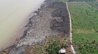 Karhutla Meranti Capai 40 Hektare, BPBD: Tim Pemadam Tak Bisa Bersantai