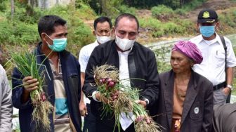 Panen Perdana di Food Estate Humbahas, Ini Harapan Gubernur Edy Rahmayadi