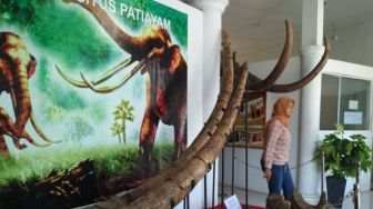 Bangunan Museum Patiayam Kudus Mulai Rusak, Butuh Perbaikan