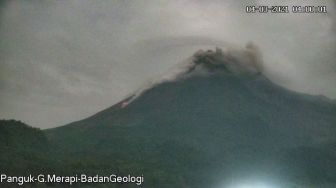 Gunung Merapi Semburkan Awan Panas, Jarak Luncur hingga 1,3 Km