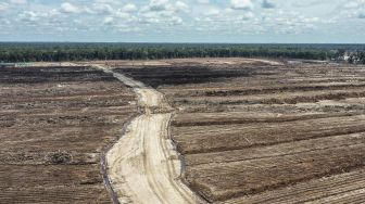 Foto udara areal lumbung pangan nasional 'food estate' komoditas singkong di Tewai Baru, Kabupaten Gunung Mas, Kalimantan Tengah, Sabtu (6/3/2021). [ANTARA FOTO/Makna Zaezar]