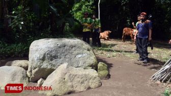 Situs Batu Megalitik Bondowoso Diusulkan Masuk UNESCO Global Geopark