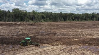 Pekerja menggunakan traktor saat mengolah tanah untuk tanaman singkong di areal lumbung pangan nasional 'food estate' di Tewai Baru, Kabupaten Gunung Mas, Kalimantan Tengah, Sabtu (6/3/2021). [ANTARA FOTO/Makna Zaezar]