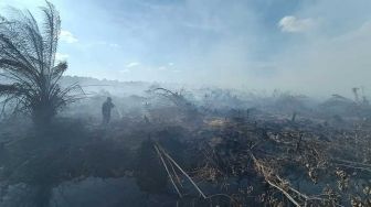 Karhutla 10 Hektare di Giam Siak Kecil, Disebut untuk Pembukaan Lahan