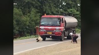 Geger Duel Ayam di Jalan Bikin Macet, Netizen: Ini Abang Jago Aslinya