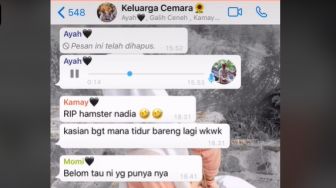 Viral Kabar Duka Diumumkan di Grup WA Keluarga, Bukan Manusia