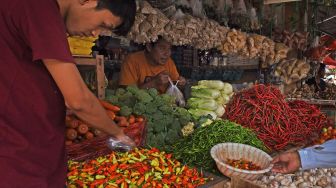 Stok Cabai Rawit di Gorontalo Melimpah