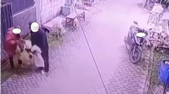 Heboh Aksi Pemotor Nekat Curi Kambing di Jalan, Tak Sadar Terekam CCTV