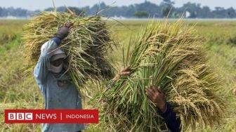 Harga Gabah di Sumsel Rendah, Masyarakat Tani Datangi Kantor Bulog