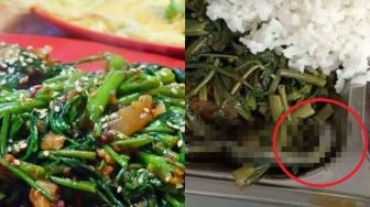 Hendak Santap Sayur Kangkung, Pas Dizoom Publik Merinding Lihat Temuan Ini