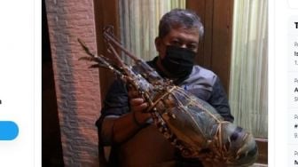 Niat Pamer Lobster Sebesar Bayi, Fahri Hamzah Diceramahi Susi Pudjiastuti