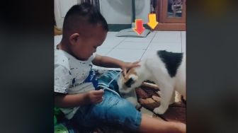 Gegara Asyik Nonton Dangdutan, Bocah Jadi Rebutan Susu sama Kucing