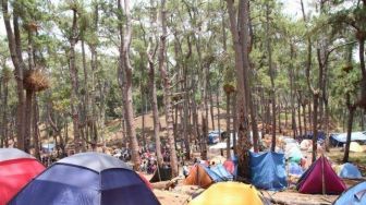 Wisata Pinus Rombeng Bantaeng yang Diminati Pengunjung